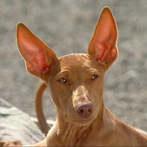 Meet your Posher, Lydia